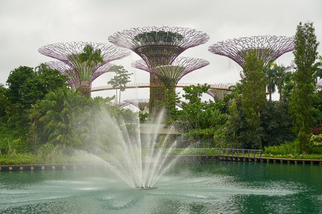 do not miss the free activities at gardens by the bay 