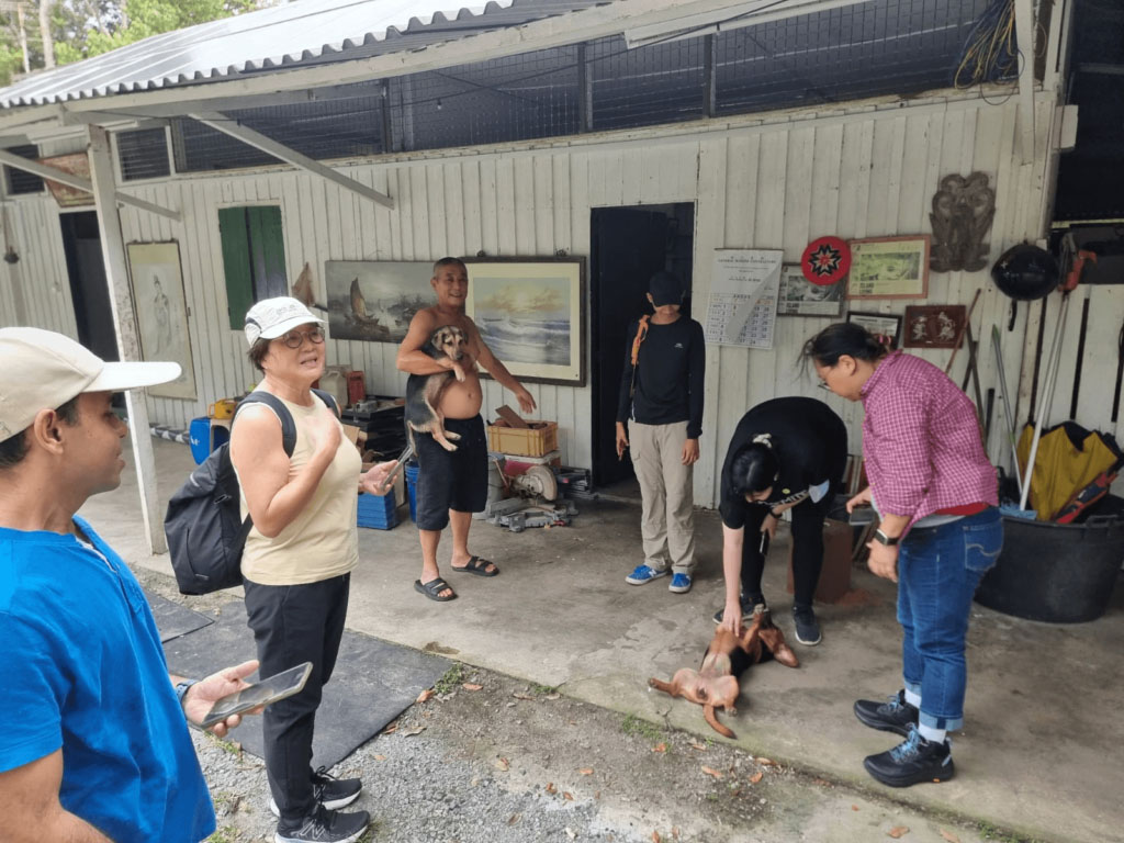 bukit-timah-nature-reserve-for-tourists