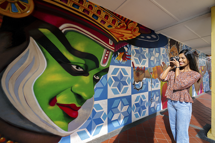 little india has plenty of art murals drawn by local and international artists