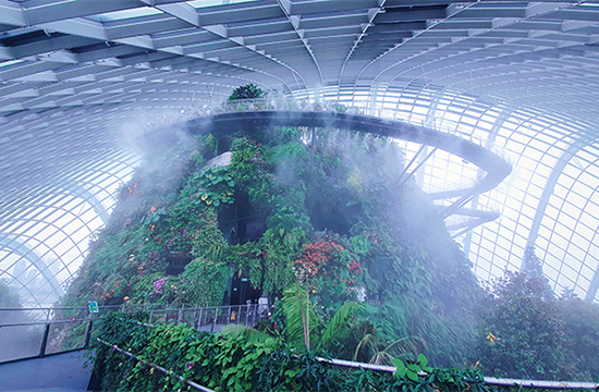 Gardens by the bay, indoor dome, cloud forest