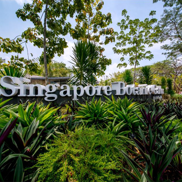 Botanic gardens Learning Journey Singapore