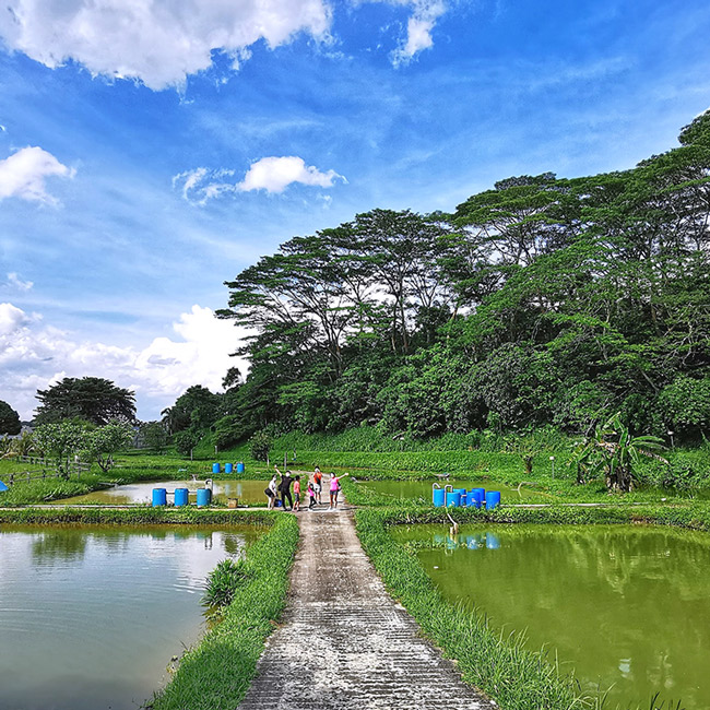 fish farm tour, eco activity, sustainable team building